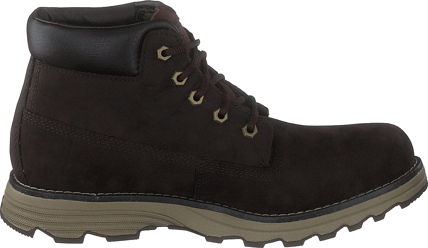 CAT Founder Wp Tx Coffee Bean 2 CAT Founder Wp Tx Coffee Bean - Image 2