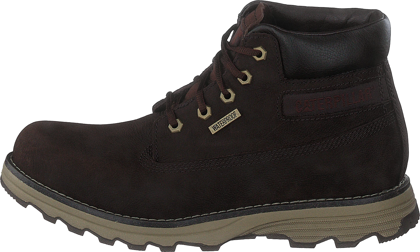 CAT Founder Wp Tx Coffee Bean 1 CAT Founder Wp Tx Coffee Bean