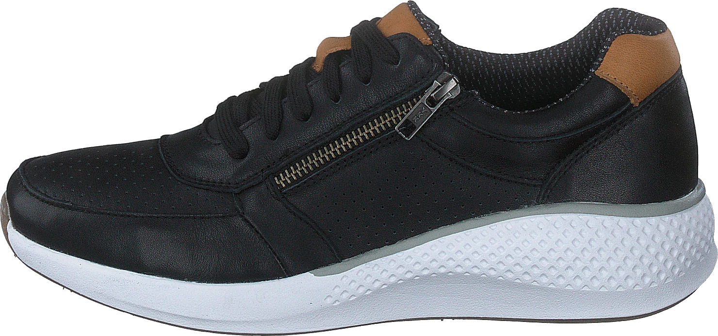 Dolphin Black 1 Dolphin Black