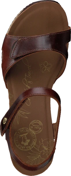 Panama Jack Nica Sport B5 Pull-up Cuero / Bark -Duffy kauppa 60296 45 5