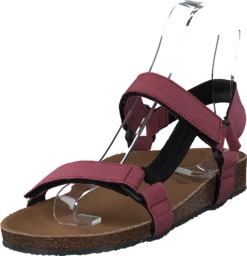 Scholl Greeny Heaven Bordeaux 9 Scholl Greeny Heaven Bordeaux -Duffy kauppa 60300 55 2