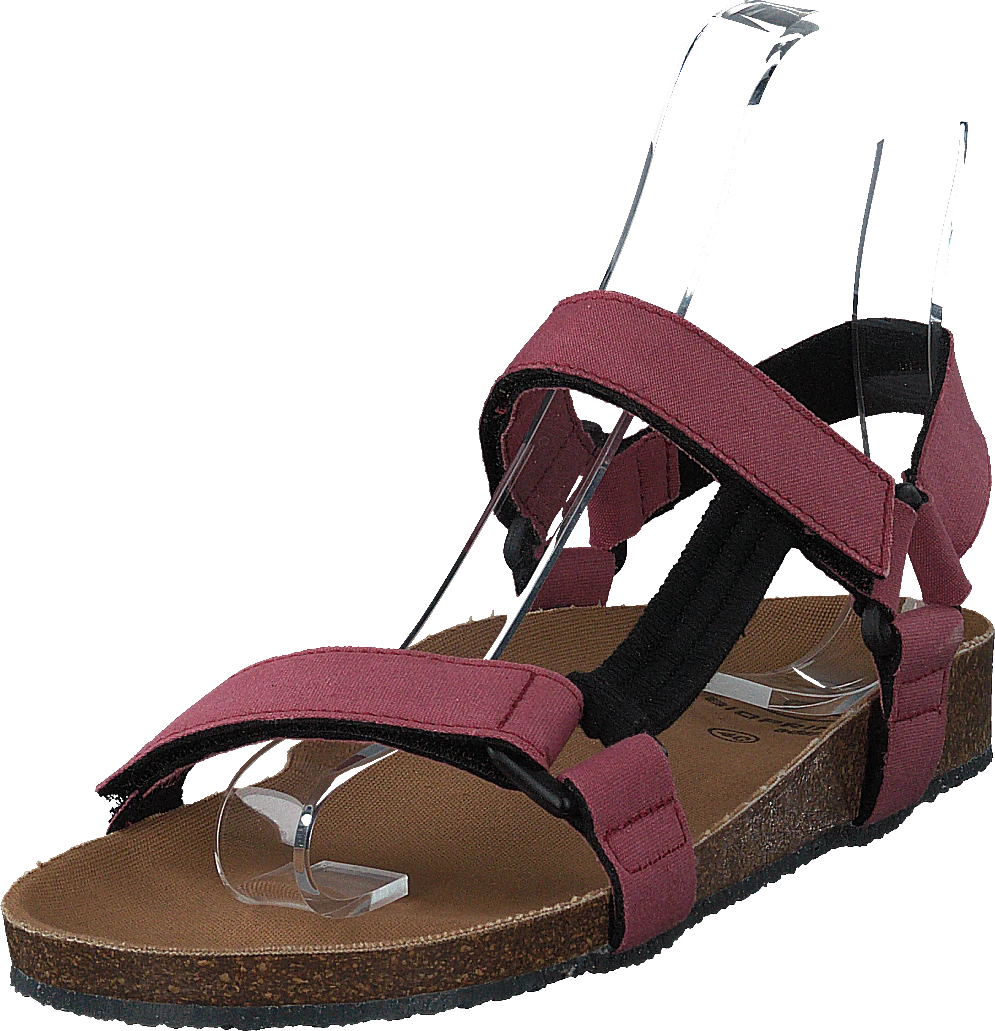 Scholl Greeny Heaven Bordeaux 3 Scholl Greeny Heaven Bordeaux - Image 3