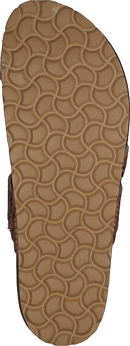 Adan Sand Snake 2 Adan Sand Snake - Image 2