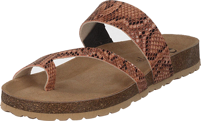 Adan Sand Snake 1 Adan Sand Snake