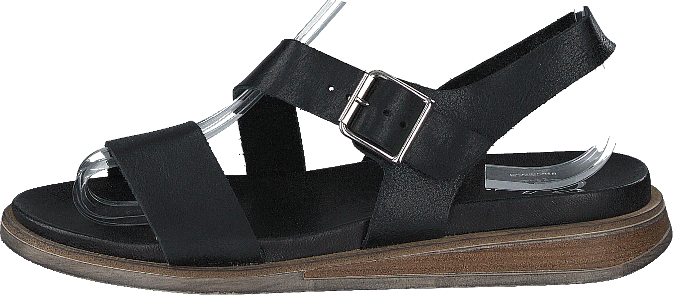 Lotta Black 1 Lotta Black