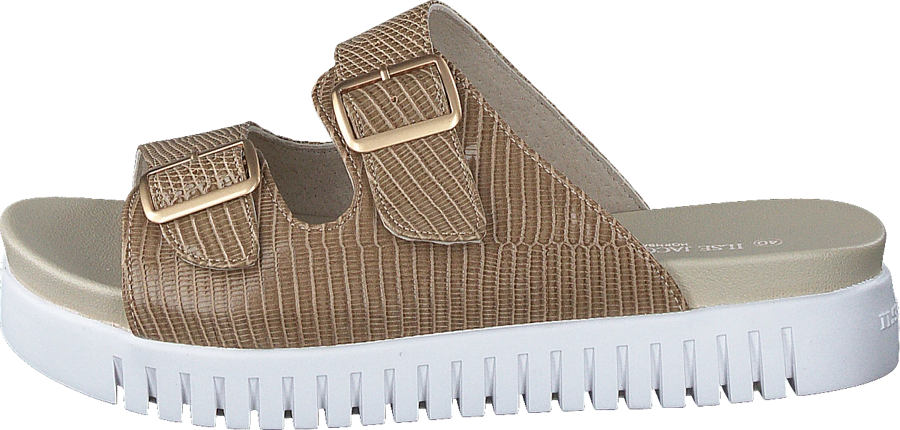 ILSE JACOBSEN Tulip1165re Fossil 1 ILSE JACOBSEN Tulip1165re Fossil