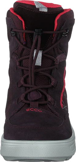 Ecco Urban Snowboarder Fig/teaberry -Duffy kauppa 60464 29 3