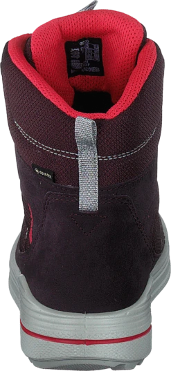 Ecco Urban Snowboarder Fig/teaberry -Duffy kauppa 60464 29 4