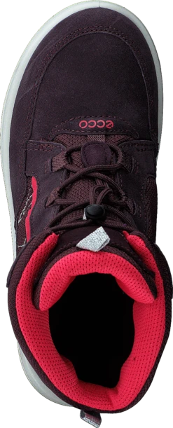 Ecco Urban Snowboarder Fig/teaberry -Duffy kauppa 60464 29 5