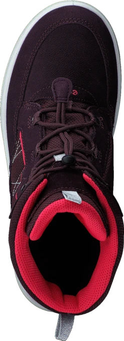 Ecco Urban Snowboarder Fig/teaberry -Duffy kauppa 60464 32 5