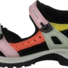 Ecco Offroad Multicolor Calendula