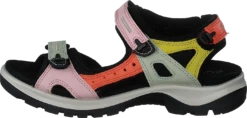 Ecco Offroad Multicolor Calendula
