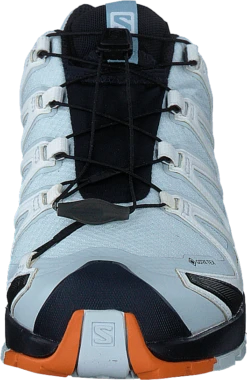 Salomon Xa Pro 3d V8 Gtx W Plein Air/marmalade/night Sky -Duffy kauppa 60488 63 3