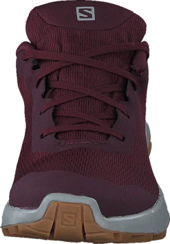 Salomon X Reveal Gtx W Wine Tasting/alloy/peachy Keen -Duffy kauppa 60488 72 3