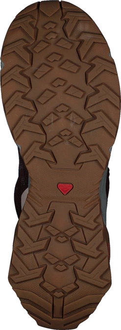 Salomon X Reveal Gtx W Wine Tasting/alloy/peachy Keen -Duffy kauppa 60488 72 6