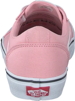 Vans Wm Ward (canvas) Powder Pink/white -Duffy kauppa 60521 85 4