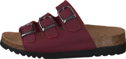 Scholl Rio Bordeaux