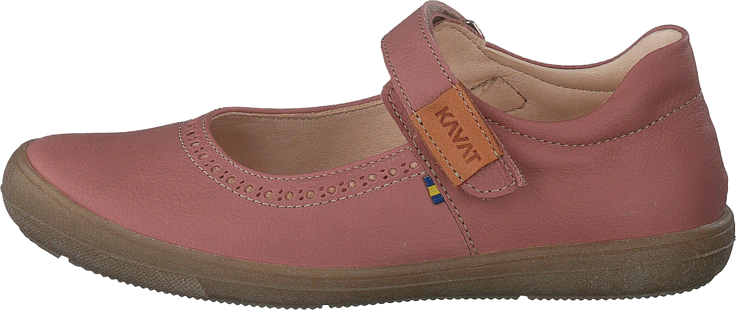 Kavat Ammenäs Ep Ash Rose 1 Kavat Ammenäs Ep Ash Rose