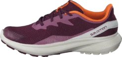 Salomon Impulse W Grape Wine/rainy Day/vibrant O