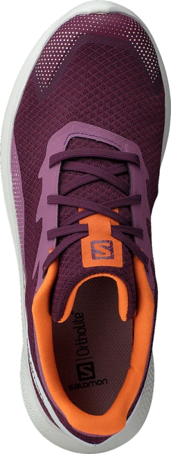 Salomon Impulse W Grape Wine/rainy Day/vibrant O -Duffy kauppa 60590 38 5