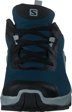 Salomon X Reveal 2 Gtx Legion Blue/black/quarry -Duffy kauppa 60590 42 3