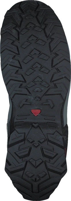 Salomon X Reveal 2 Gtx Legion Blue/black/quarry -Duffy kauppa 60590 42 6