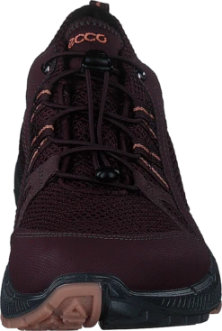 Ecco Terracruise Ii W Fig/fig -Duffy kauppa 60605 60 3