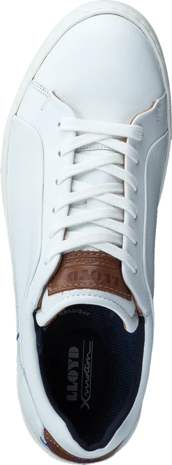 Lloyd Majuro White/whisky -Duffy kauppa 60616 22 5