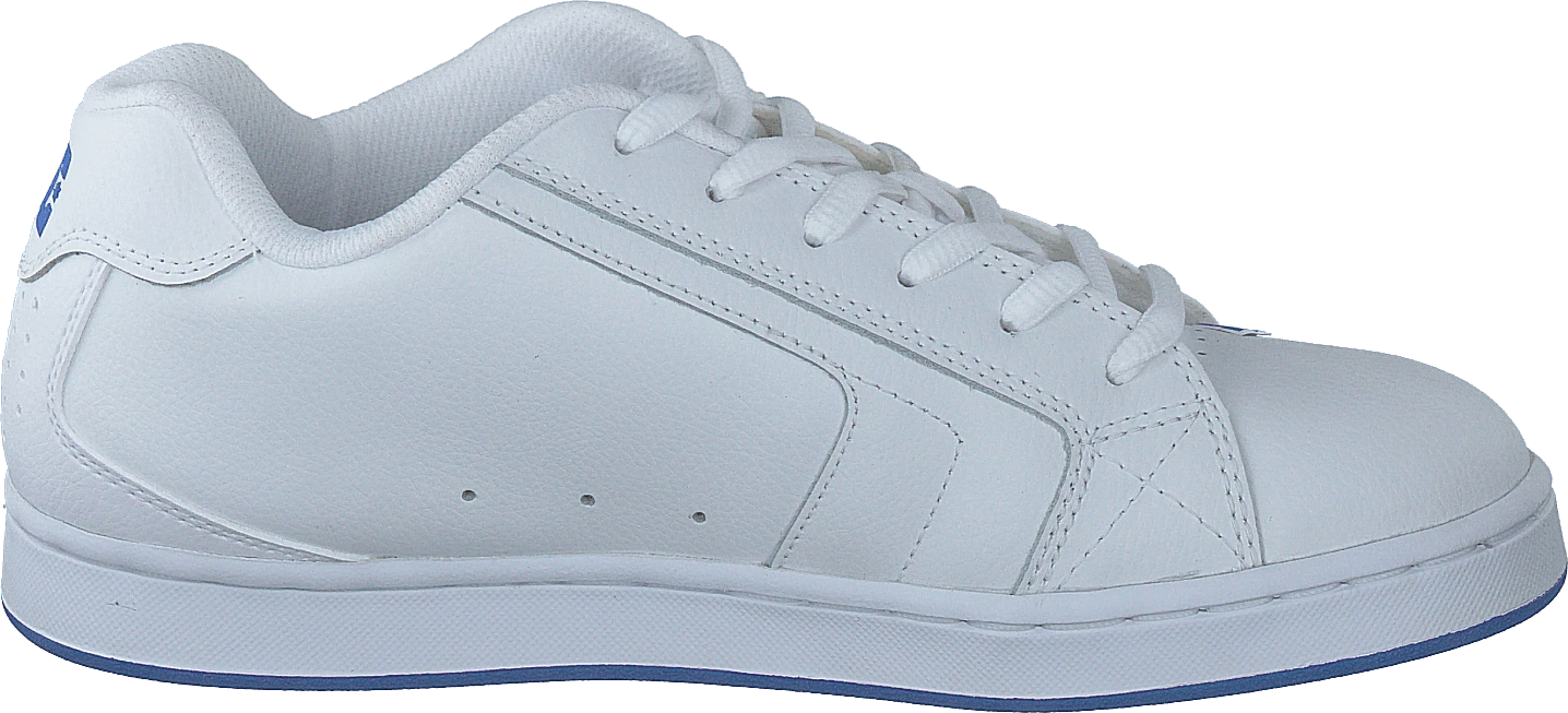 DC SHOES Net White/royal 2 DC SHOES Net White/royal - Image 2