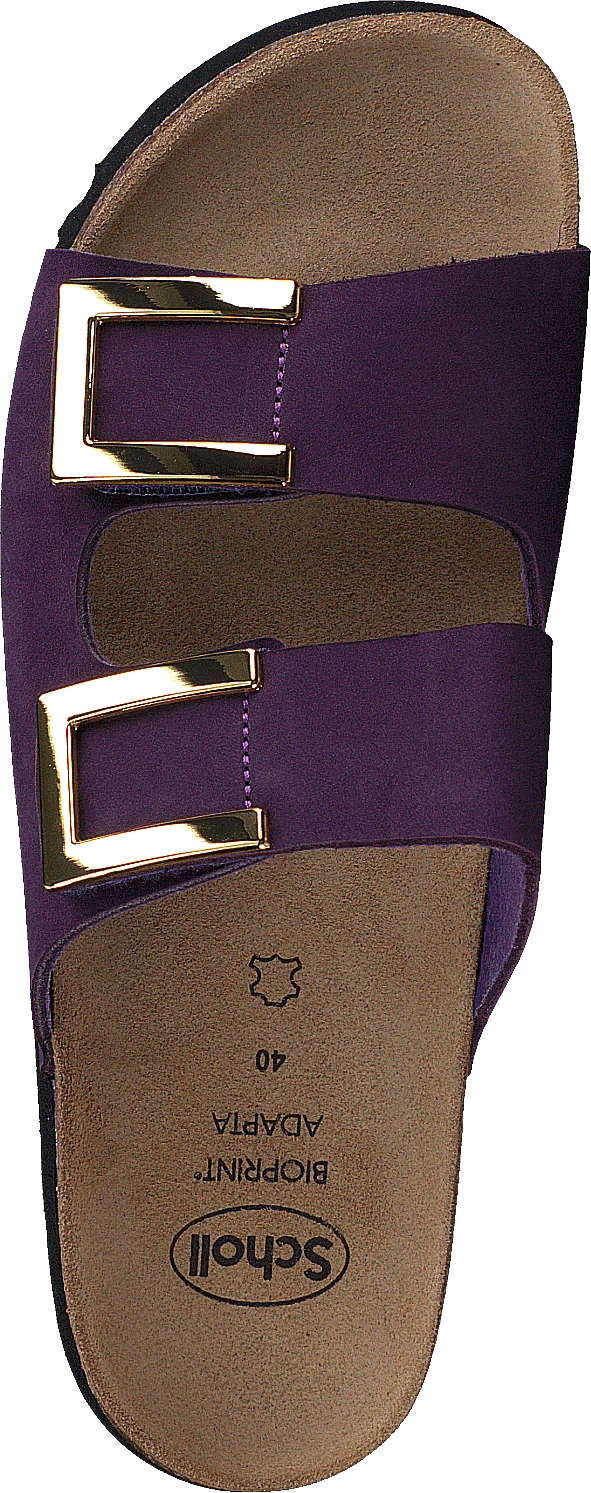 Scholl Monterey Ad Purple 6 Scholl Monterey Ad Purple - Image 6