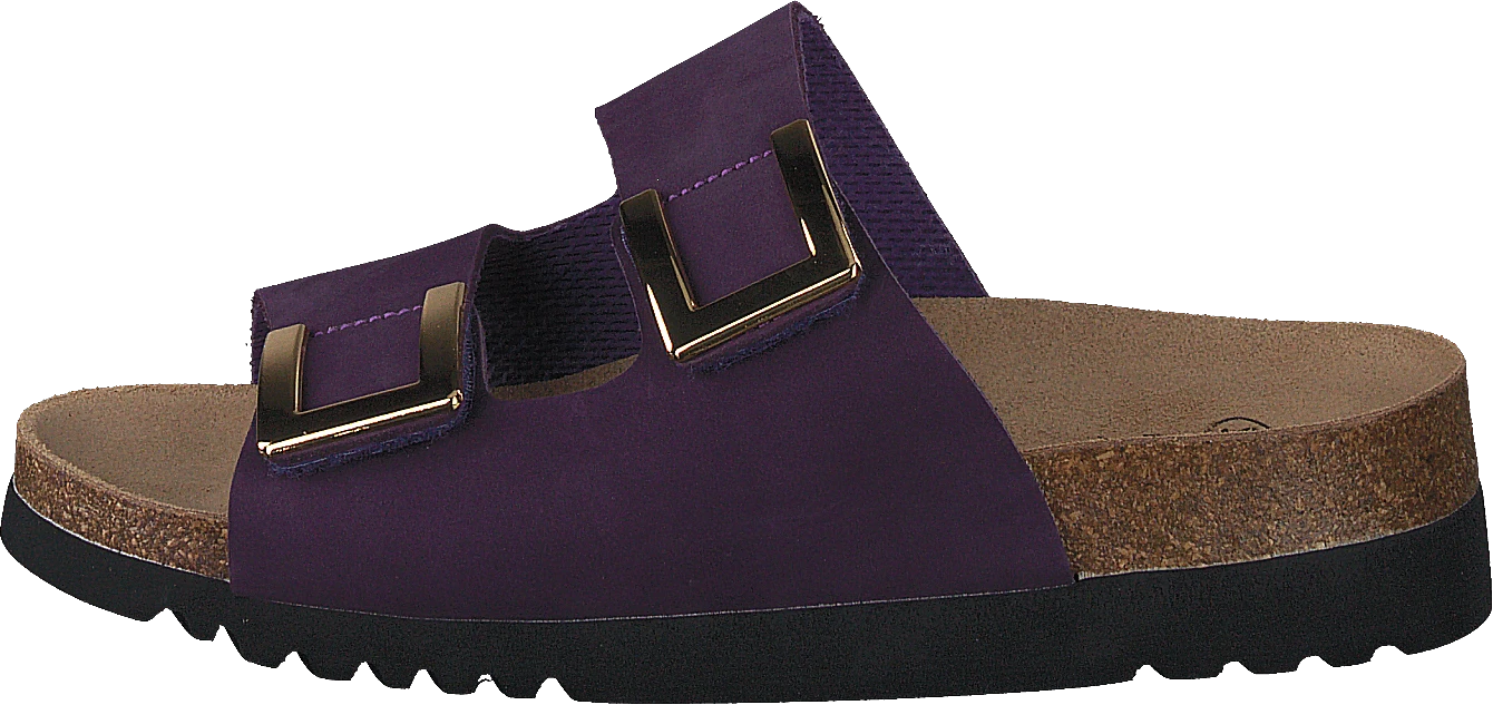 Scholl Monterey Ad Purple 1 Scholl Monterey Ad Purple