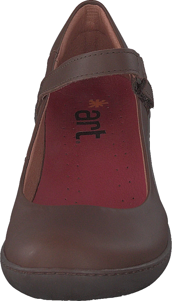 *art Alfarma Brown-pale 4 *art Alfarma Brown-pale - Image 4