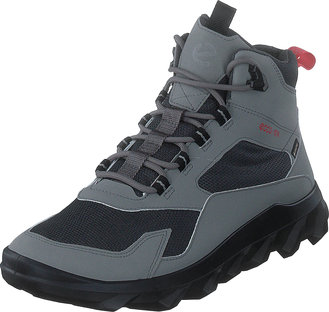 Ecco Mx M Steel/magnet 3 Ecco Mx M Steel/magnet - Image 3