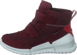 Ecco Biom K Morillo/morillo/chili Red