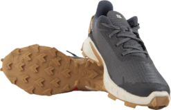 Salomon Alphacross 4 Ebony/rainy Day/phantom -Duffy kauppa 60728 31 007