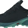 Salomon Alphacross 4 Gtx W Ebony/trellis/yucca