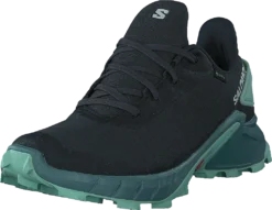 Salomon Alphacross 4 Gtx W Ebony/trellis/yucca -Duffy kauppa 60728 38 2