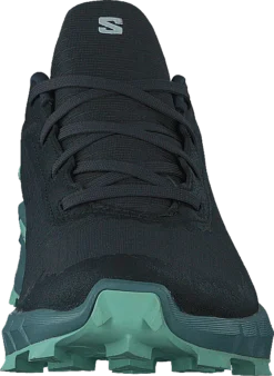 Salomon Alphacross 4 Gtx W Ebony/trellis/yucca -Duffy kauppa 60728 38 3