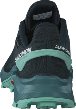 Salomon Alphacross 4 Gtx W Ebony/trellis/yucca -Duffy kauppa 60728 38 4