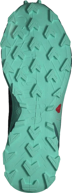 Salomon Alphacross 4 Gtx W Ebony/trellis/yucca -Duffy kauppa 60728 38 6