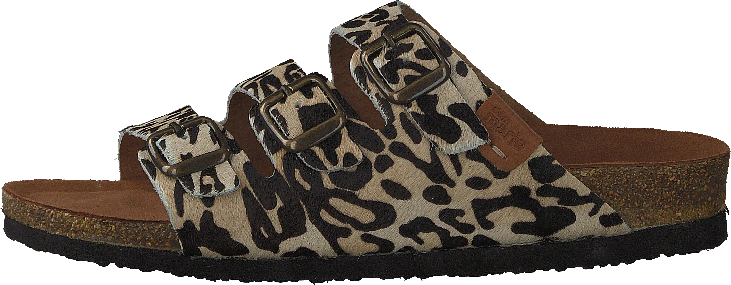 Swell Leopard 1 Swell Leopard