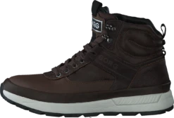 H110 Hgh Bsc M Brown