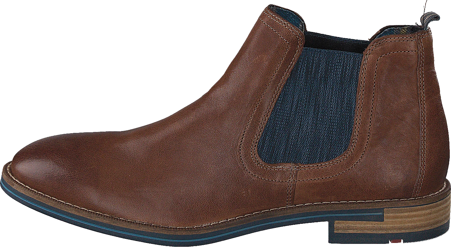 Lloyd Dario Cognac 1 Lloyd Dario Cognac