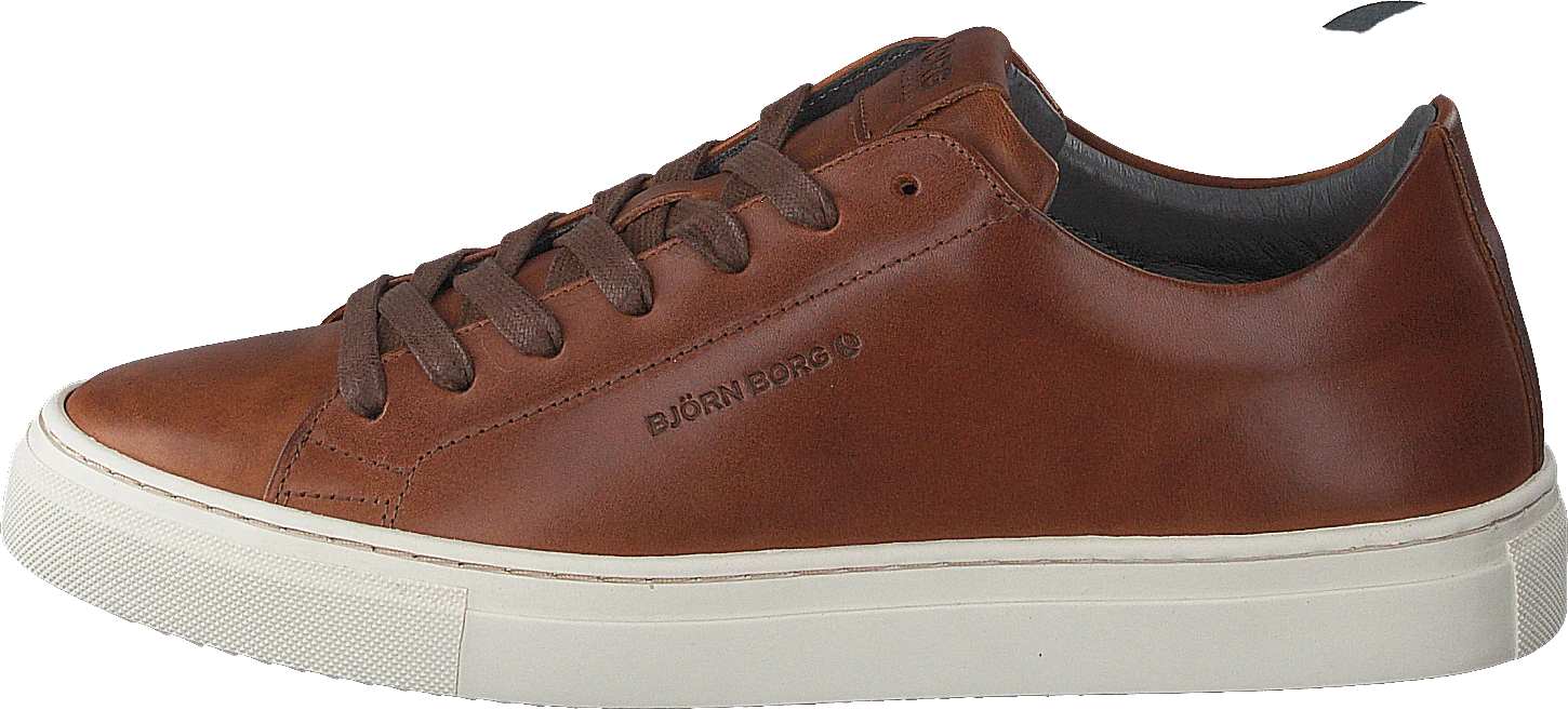 Sl100 Lea M Cog 1 Sl100 Lea M Cog