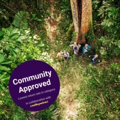 Scholl Rio AD Black -Duffy kauppa x community approved 13